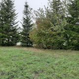 Terrain 1300 m² / CHATEAU-L'EVEQUE / 24460